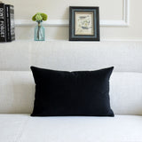 Sofa Velvet Throw Pillow