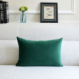 Sofa Velvet Throw Pillow