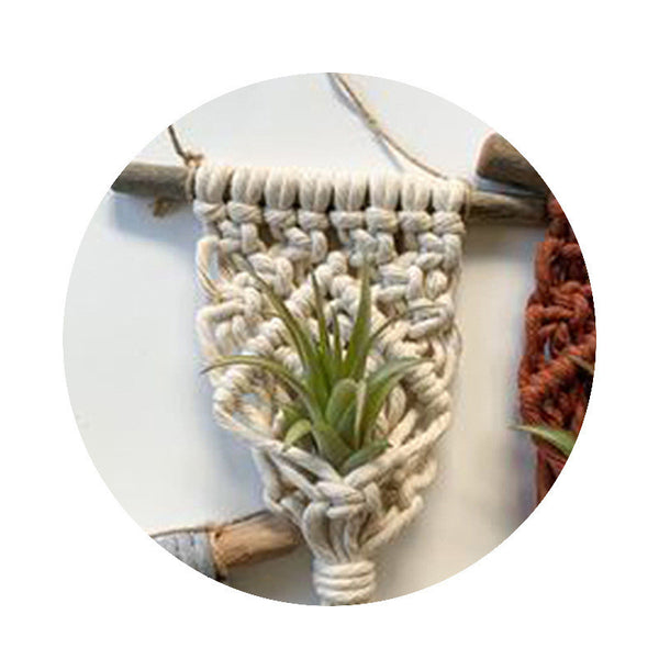 Home Decor Mini Macrame Plant Hangers For Air Plant